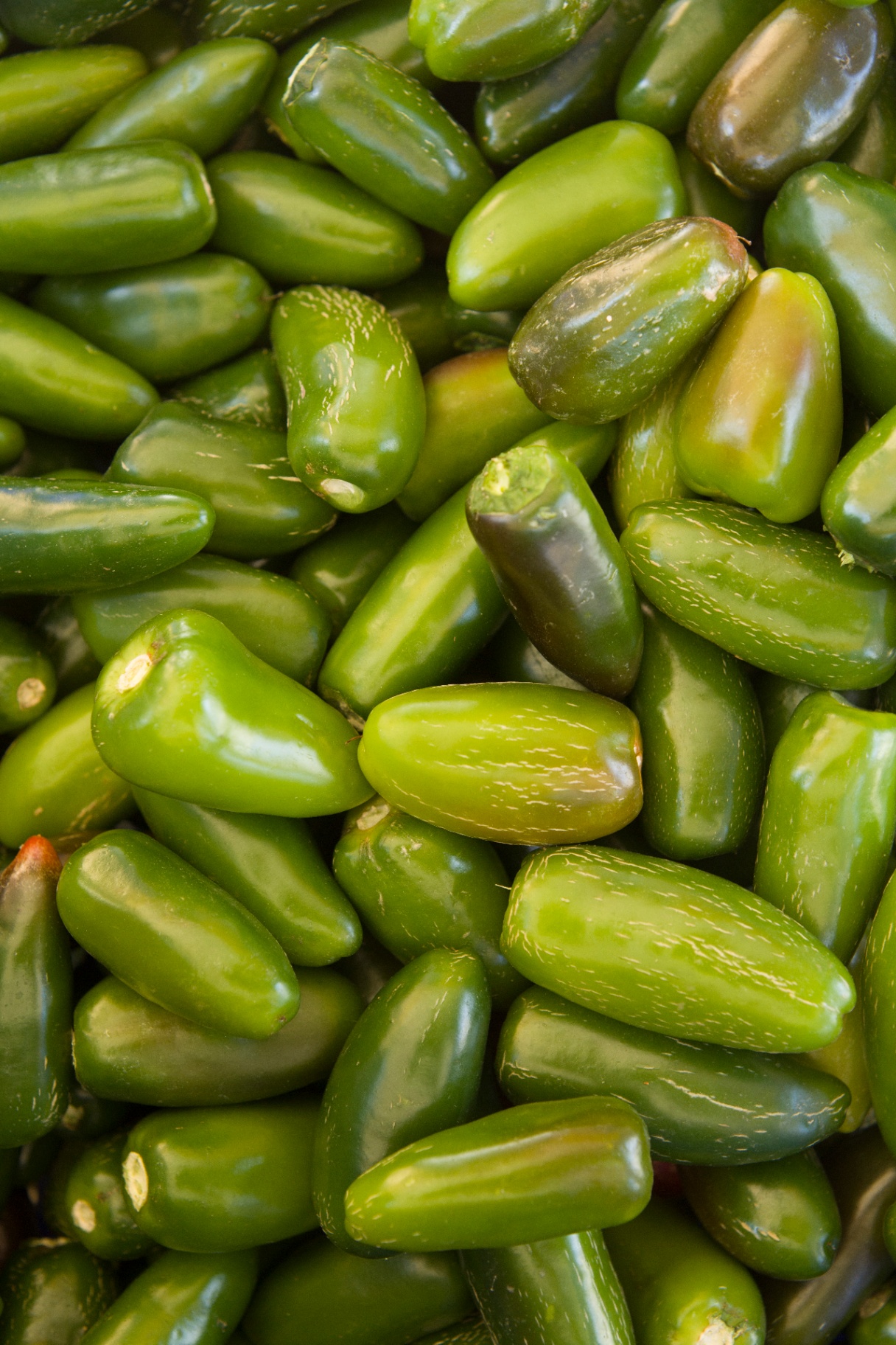 Прясно набрани Jalapeño чушки